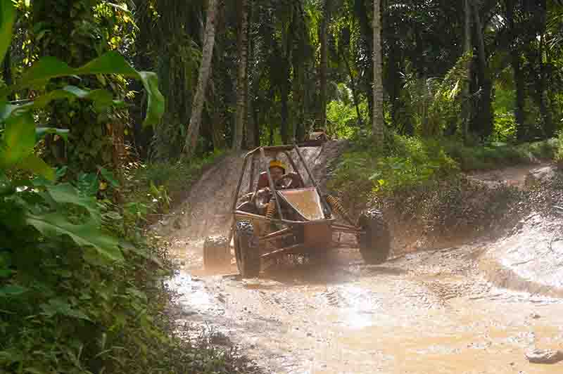 buggy2